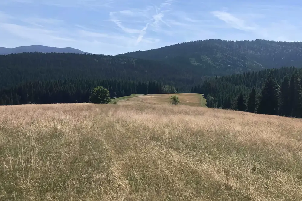 Rekreacja w Ośrodku "Koninki"