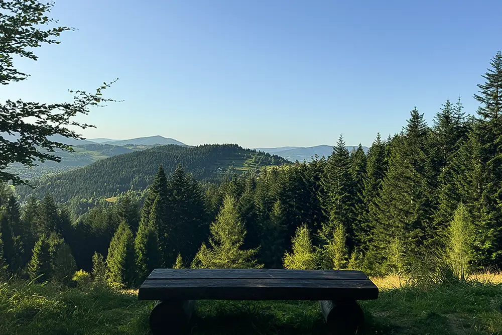 Widok na Beskidy widziany z niedalekiego miejsca od Prywatnego Ośrodka Terapii Koninki